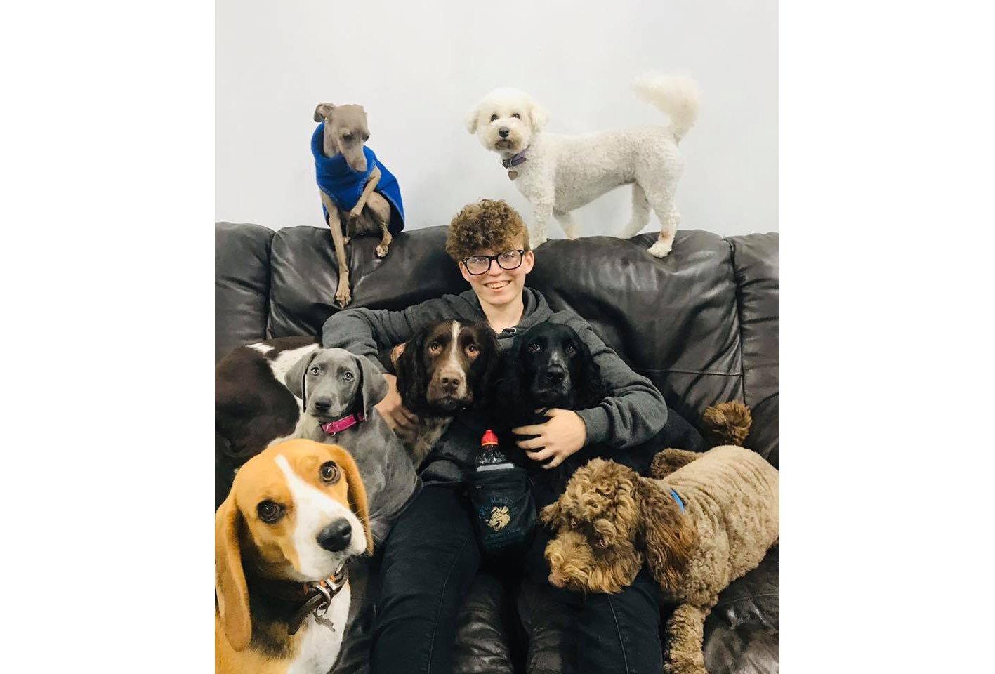 Pawswoof Doggy Daycare in Portsmouth is collecting donations for The Stubbington Ark RSPCA to give dogs without homes a great Christmas. Pictured: Apprentice Glade Clarke with daycare dogs Wilfy, Ruby, Stella, Monty, Alfie, Tamar, and Jax