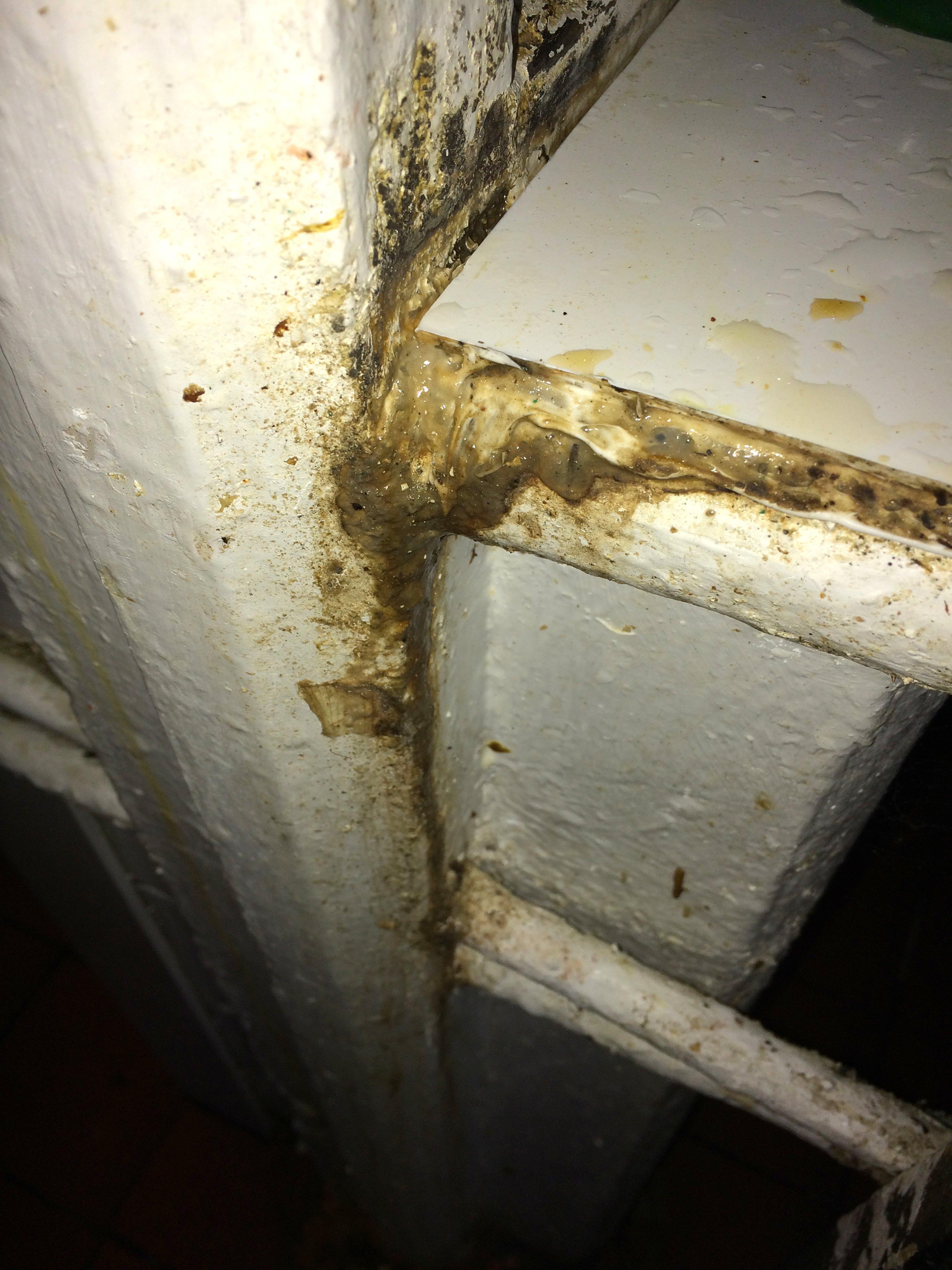 Grease and food debris around preparation surface in kitchen