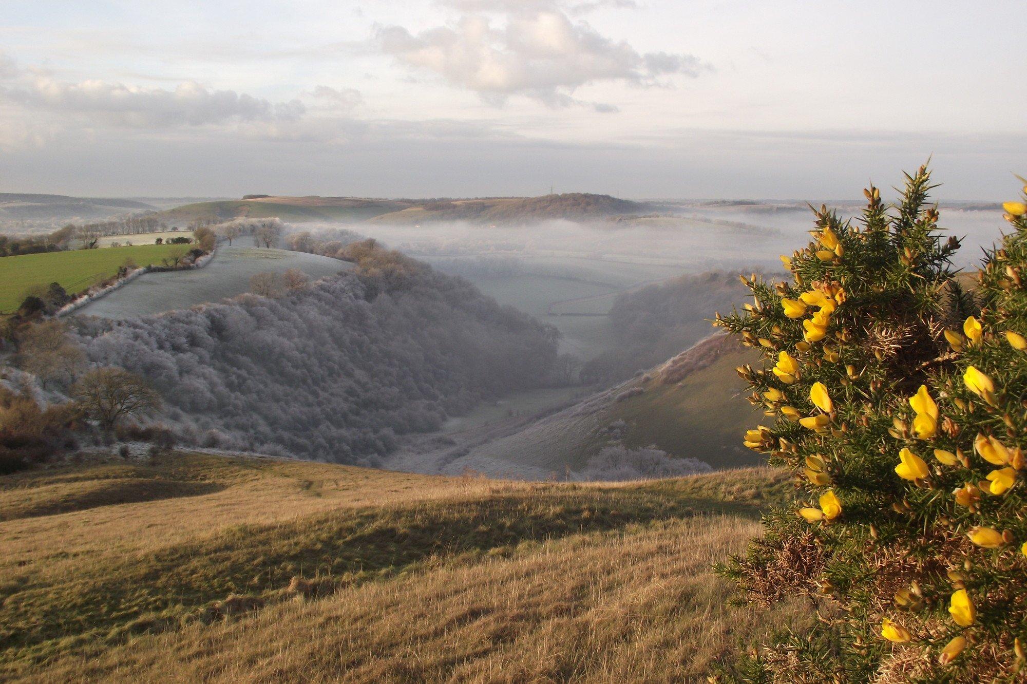 Rake Bottom, South Downs National Park in the winter