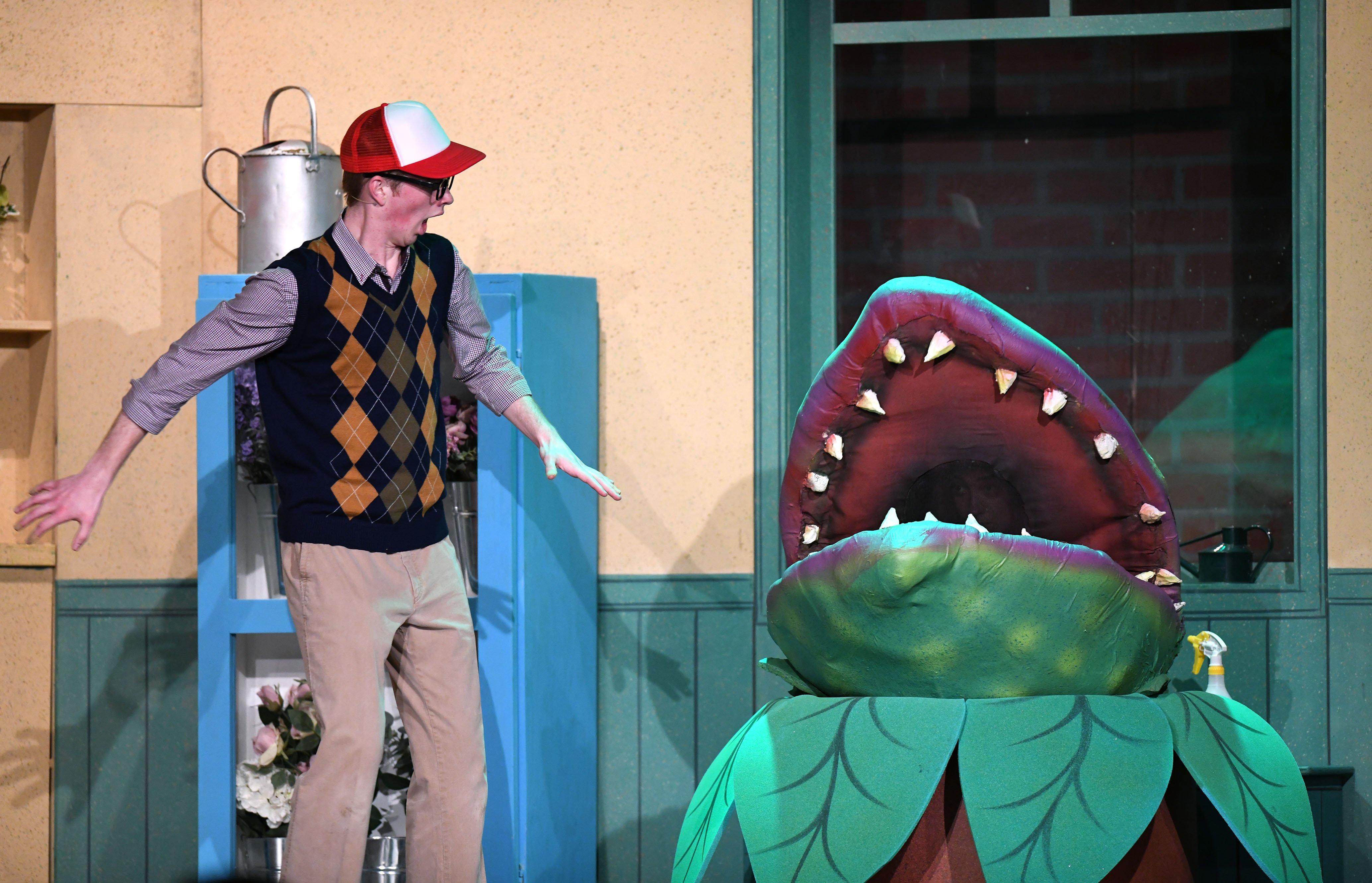 Matt Hammond as Seymour with Audrey II.