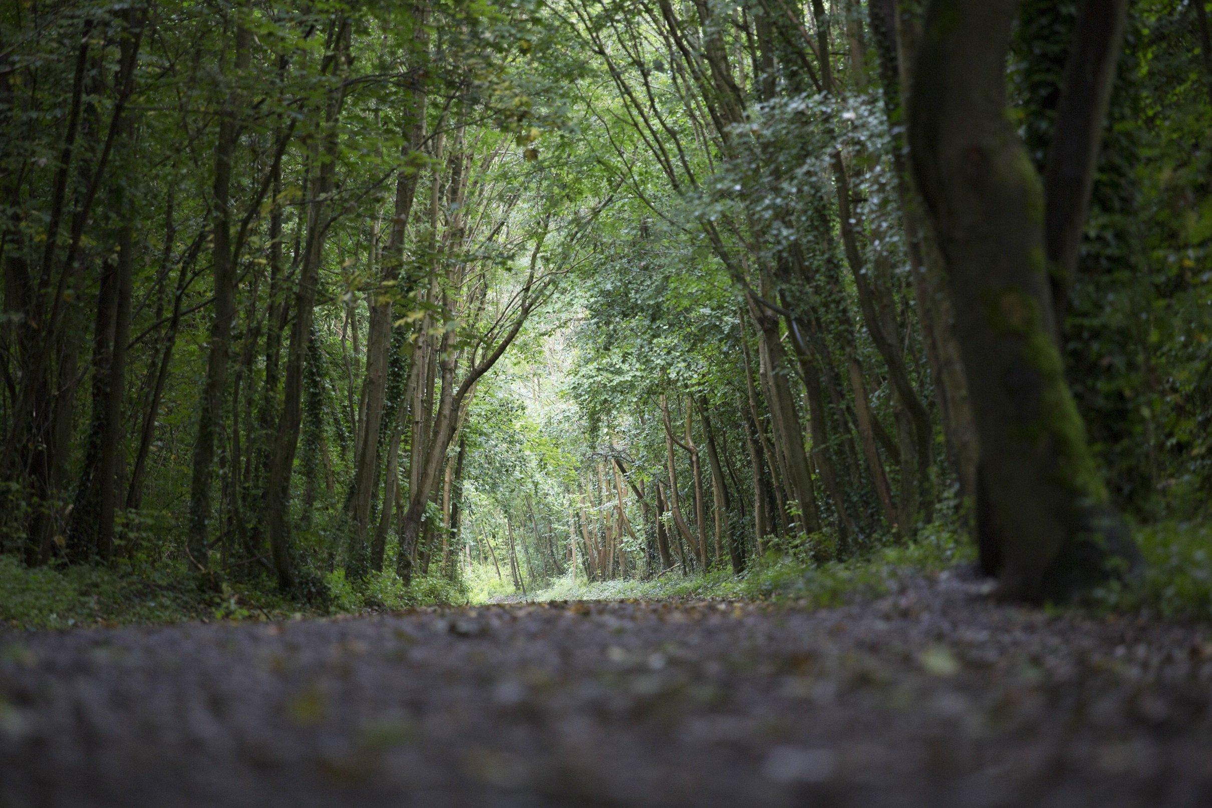 Meon Valley Trail
