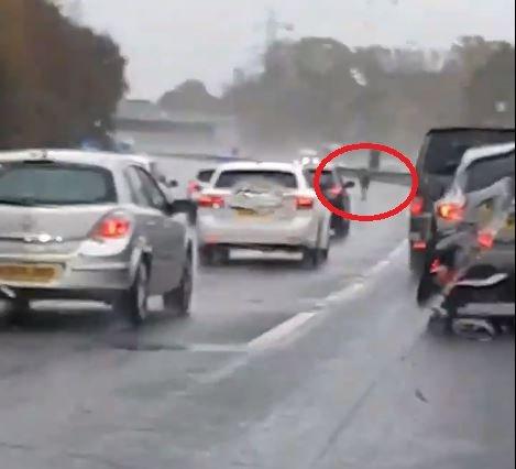 There was a rolling oad block at Rownhams Services on the M27 between junction 3-4 while a horse was removed from the carriageway. Picture: Ryan Thompson