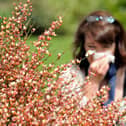 A pollen bomb is headed for the UK, but there are ways hay fever sufferers can ease their symptoms. (Photo: PHILIPPE HUGUEN/AFP via Getty Images)