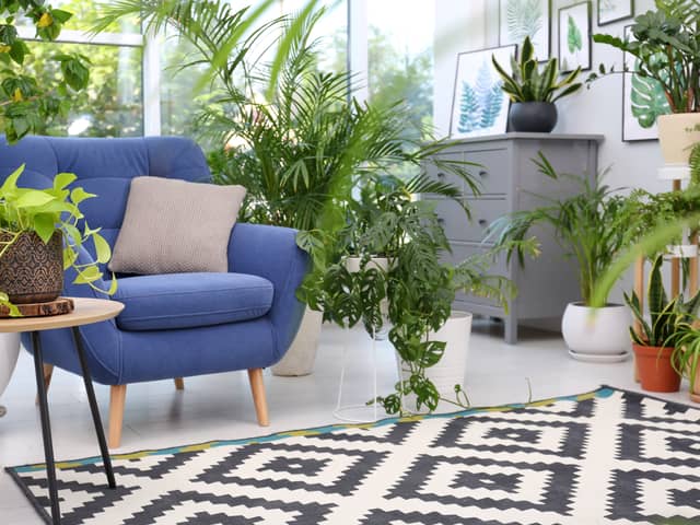 where to buy great living room chairs, from leather, deep seat, to mid century frames