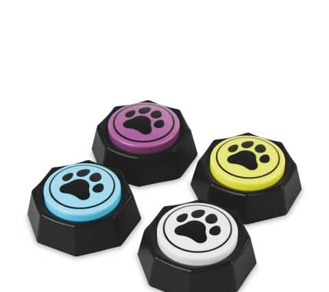 Dog Training Buzzers (Aldi)