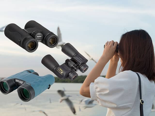 Best binoculars 2022 for birdwatching and nature hikes 