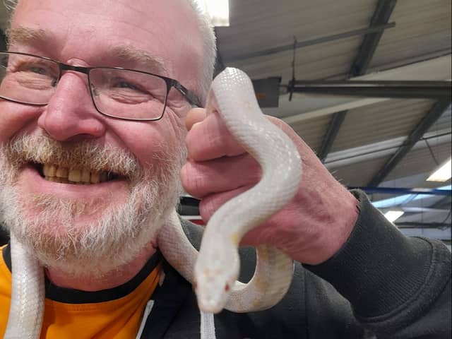 Dave French with Antoinette the corn snake.