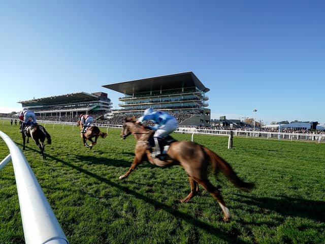 New Year’s Day racing at Cheltenham is being shown live on ITV