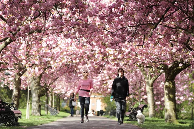 The key information you need for spring 2026, including the start and end dates of the season, and where to shop for the best spring sales.