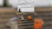 Sickening video shows young cowboy builders filming themselves ‘bodging’ a job while mocking their elderly customer.