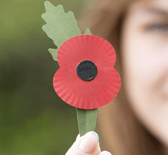 The new plastic-free poppy (Photo: Royal British Legion) 