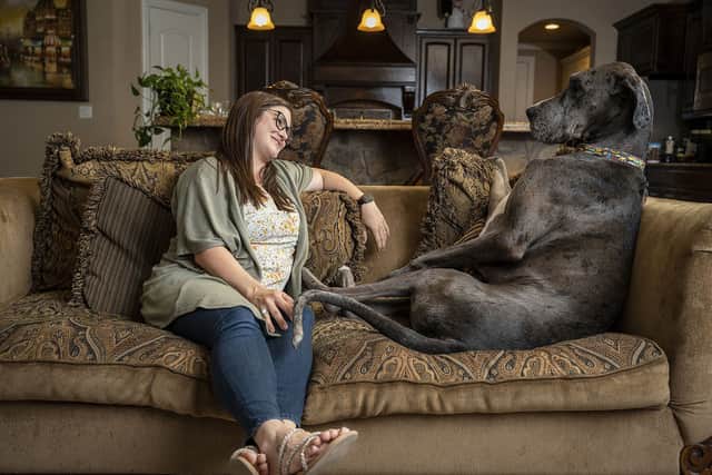 Zeus - Tallest Dog Living
Guinness World Records 2022 (photo: shadai perez)