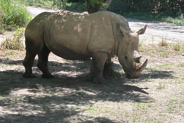 Get up close and personal with the animals at the Harambe Wildlife Park