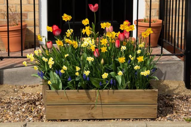 `Another trend likely in 2022 is 398 per cent rise in vibrant planters in particular (photo: Shutterstock)