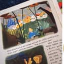One coin features the scene where Alice meets the Cheshire Cat, while the other stars the twins Tweedledum and Tweedledee (Photo: Shutterstock/PA Media)
