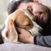 Covid is common in pet cats and dogs whose owners have the disease, new research suggests (Photo: Shutterstock)