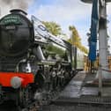 The Flying Scotsman will be travelling from London to Portsmouth - here’s where to see the iconic locamotive