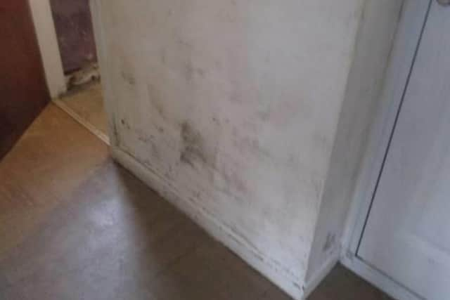 Mould inside Sara-Jae Gumbley’s Eastbourne home. 