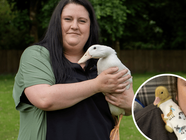 Chloe claims to be best friends with her pet duck, Buddy