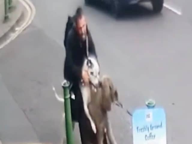 Police are looking to speak to the dangerous bull-breed’s owner in relation to the horrifying incident.