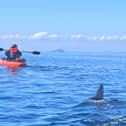 Ally Connell, 38, was only a mile from shore on a fishing trip when he saw a massive shark fin poking out of the water.