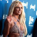 Britney Spears, pictured, has doting fans who battled to free her from a conservatorship. Picture: AFP via Getty Images