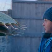 John Lewis Christmas advert 2023 Snapper, the Perfect Tree, is out now