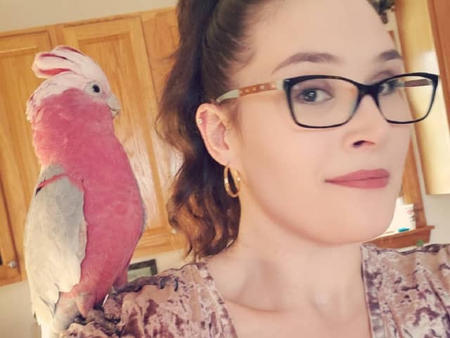 Charlie the cockatoo has been caged for three months at Heathrow over paperwork issues 