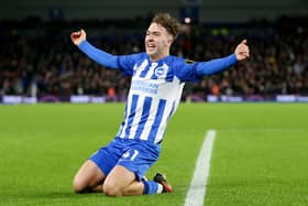 Brighton's Jack Hinshelwood scores against Brentford last night. The teenager is a player with family ties to Pompey. Pic: Getty.