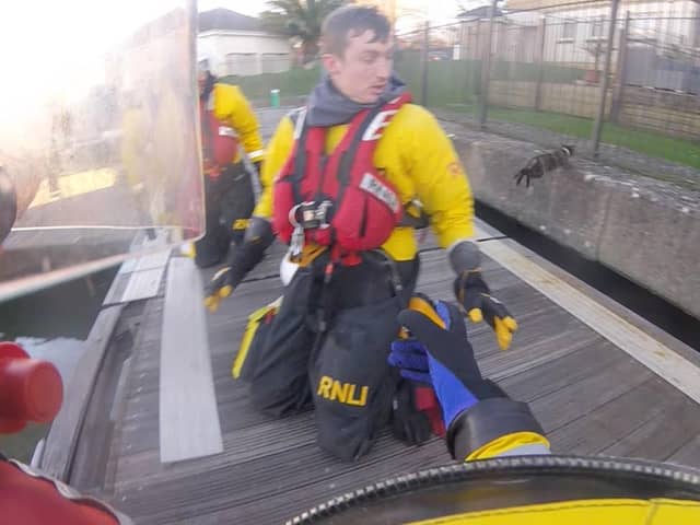 An RNLI crew has rescued a cat after it managed to get stcuk under a pontoon at East Cowes Marina. 
Pictured: The cat jumping to safety from the pontoon after being rescued. 