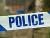 Portsmouth man arrested after female killed in vehicle pile-up involving supermarket van