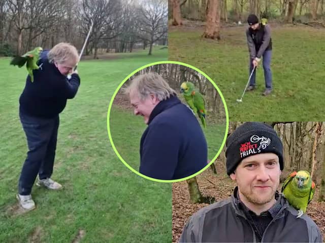 The friendly parrot decided it wanted in on the action, and perched on the backs and shoulders of two of the golfers as they attempted to take their shots