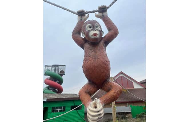 The director of Funland on Hayling Island is hoping for the return of two monkeys after they were stolen.