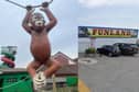The director of Funland on Hayling Island is 'frustrated' after two monkeys from the amusement park have been stolen just weeks before the new season starts. 