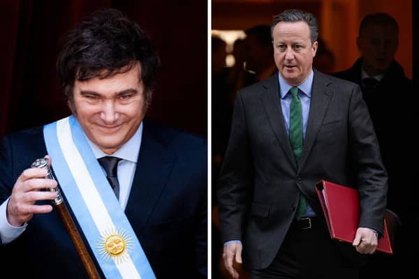 Argentina president Javier Milei said discussions are taking place over the sovereignty of the Falkland Islands, only to be quickly rebuffed by the UK and foreign secretary Lord Cameron. Picture: Tomas Cuesta/Leon Neal/Getty Images.