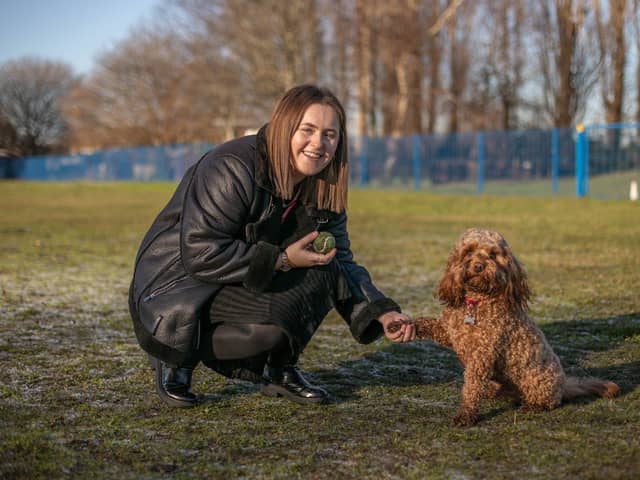 I visited Stamshaw Junior School to meet Buddy the cavapoo who has won over the hearts of the teachers, children and staff. 