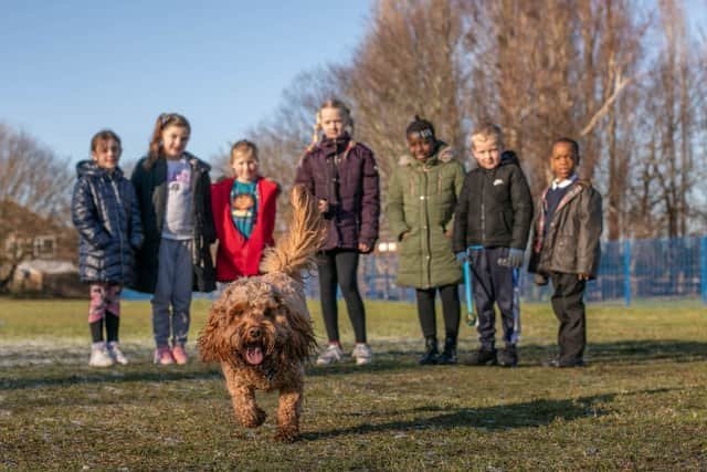 Buddy the Dog at playtime with some of the students at Stamshaw Junior School. 