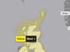 Storm Isha: Yellow weather warning in place with disruption and trees down