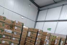 The boxes of bananas seized at Portsmouth International Port