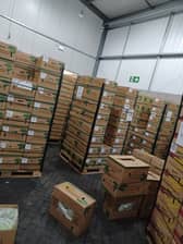 The boxes of bananas seized at Portsmouth International Port