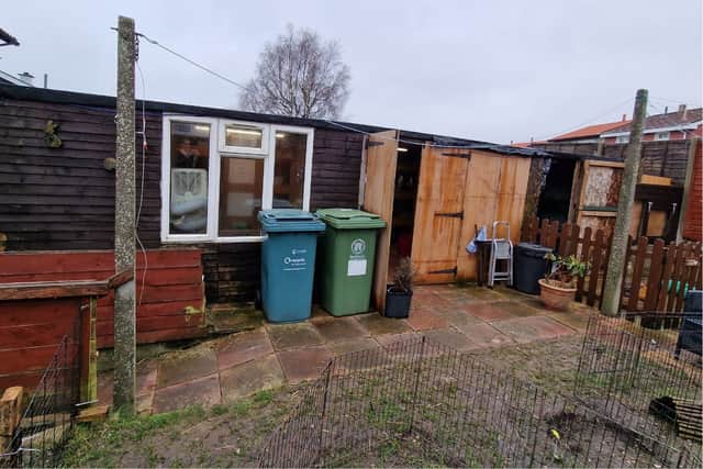 South Coast Rabbit Rescue is in desperate need of a new shed in order to continue operating. 