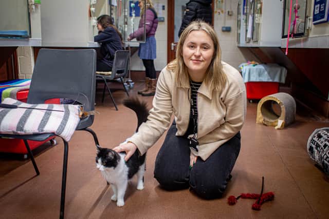 RSPCA The Stubbington Ark, Stubbington 

Pictured: Reporter, Sophie, with Luna the cat at the cattery. 