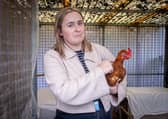 RSPCA The Stubbington Ark, Stubbington 
Pictured: Sophie with Penelope the chicken
Picture: Habibur Rahman
