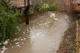 The River Meon at a very high level in 2020. Picture: Keith Woodland (16022020-1)