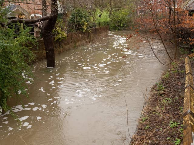 The River Meon at a very high level in 2020. Picture: Keith Woodland (16022020-1)