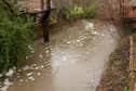 The River Meon at a very high level in 2020. Picture: Keith Woodland (16022020-1)