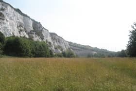 Paulsgrove chalk pit