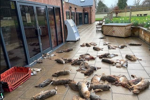 50 hares were left outside Broughton Community Shop in March 2024.