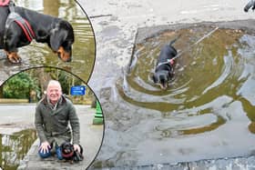 The huge pothole on Trinity Close in Stratford-upon-Avon, in front of the Holy Trinity Parish Centre and opposite to the Holy Trinity Church entrance. Local resident Matt Beacham, 57, with his sausage dog Richmond (inset).