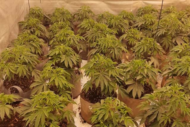 Police carried out six raids across the Portsmouth area.